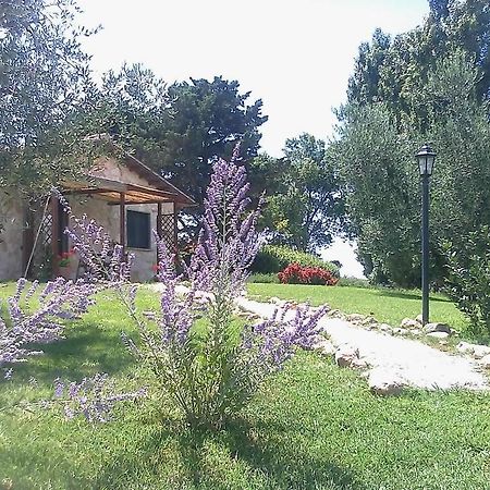 Вилла Casale Dinelli Тарквиния Номер фото